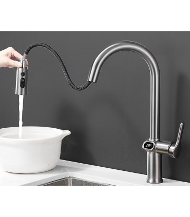 Küchenarmatur Temperaturanzeige LH-168 | Zinklegierung | Herausziehbar | 3 Wassermodi