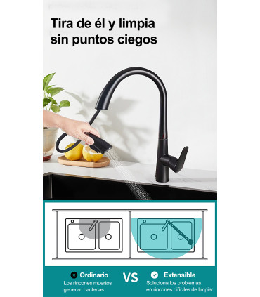 Kjøkkenkran Water No Limits LH-8042 Svanehals | Massivt Kopper | Uttagbar 2 Moduser