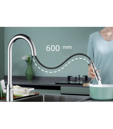 Köksblandare Water No Limits LH-123 | Hylla Gitter | Enkelhandeds 2 Vattenledningar | Utdragbar 2 Lägen